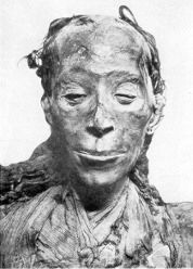 Mummy of Tjuyu.